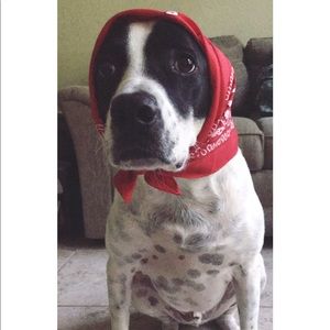 Meet your Posher, Karla